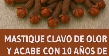 590001533 825542186929113 1294459799076718469 n