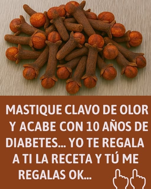 590001533 825542186929113 1294459799076718469 n