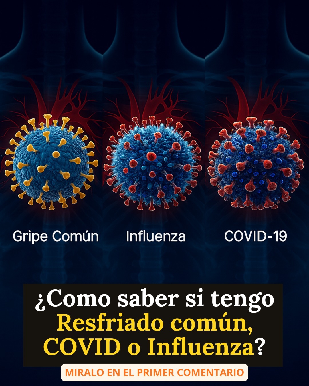 593887957 878412811533982 6571894050290522981 n