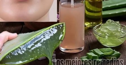 594547141 1414567283565117 5325424532278699028 n