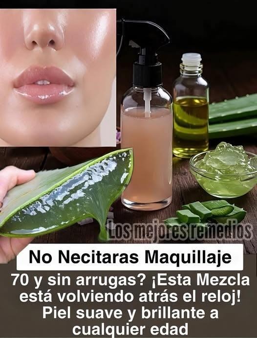 594547141 1414567283565117 5325424532278699028 n