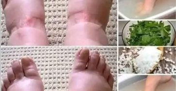 596101812 1414018046752123 3193816499061499722 n