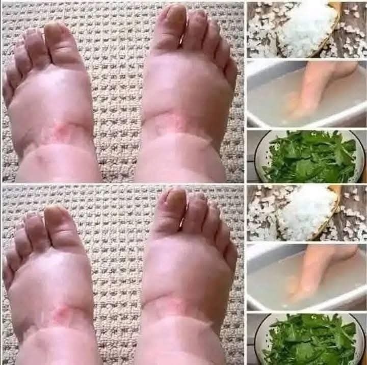 596101812 1414018046752123 3193816499061499722 n