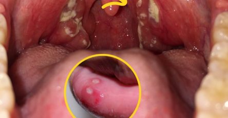 596957589 122172513104424691 794248716118369495 n