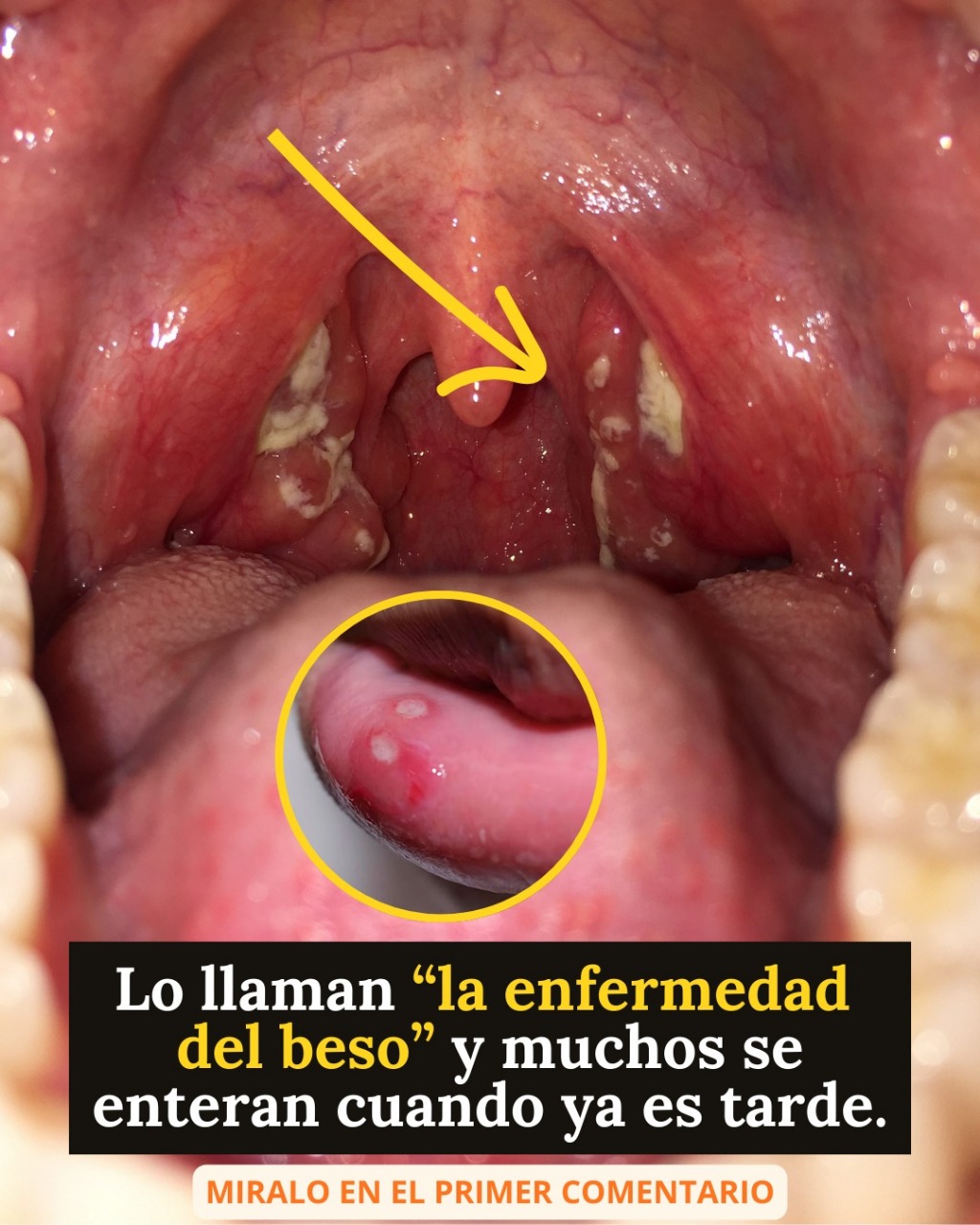 596957589 122172513104424691 794248716118369495 n