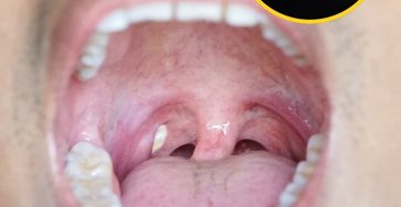 598170237 840216102128388 7105095193954907986 n