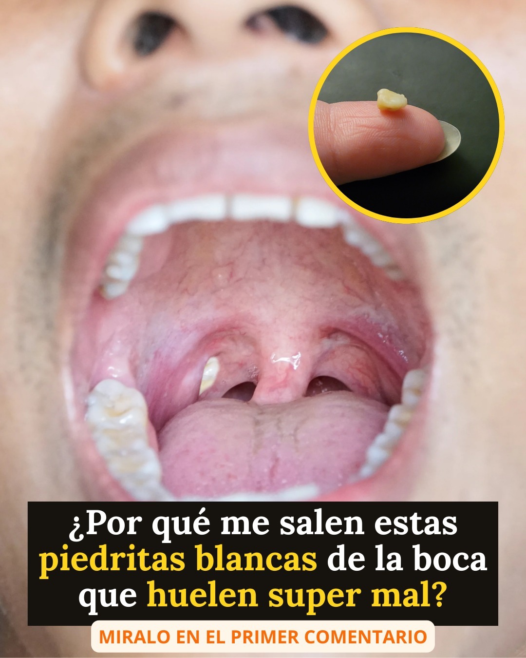 598170237 840216102128388 7105095193954907986 n