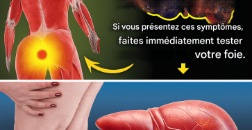 5a430a91 45e0 4d87 9e09 97266529a1ab