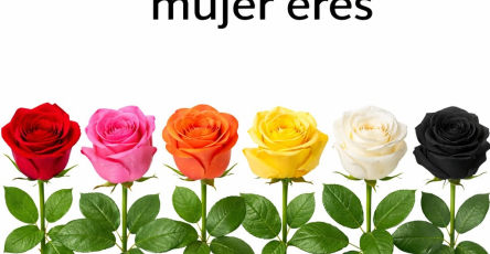 5b05f64d e115 4bfe b58d 0be8b0d197b9