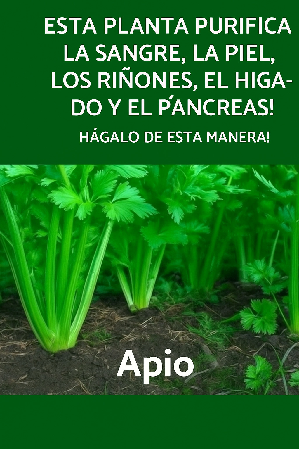 5eb68e15 79e4 4a29 b5af c0cae43a181f (1)