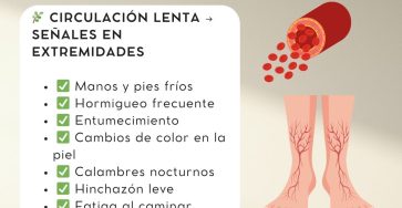 603716439 1176338451335691 8961112089972920802 n