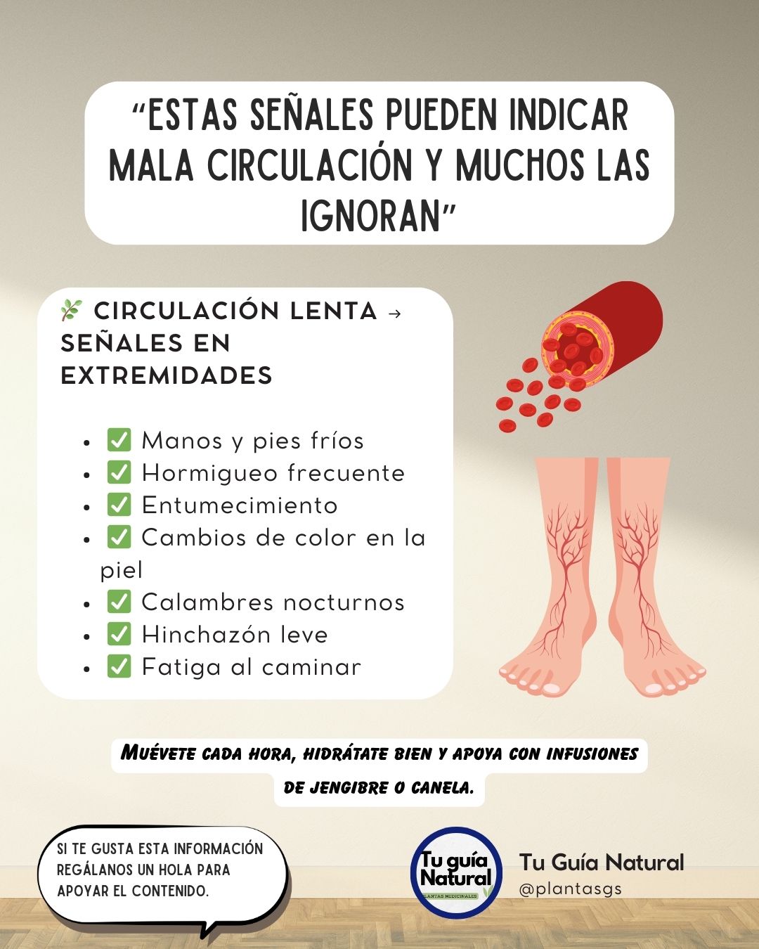 603716439 1176338451335691 8961112089972920802 n