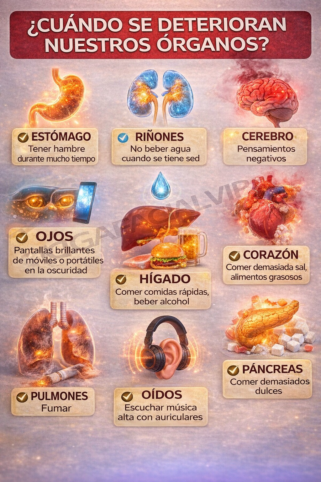 612131274 122287519430225130 7662447834700829120 n