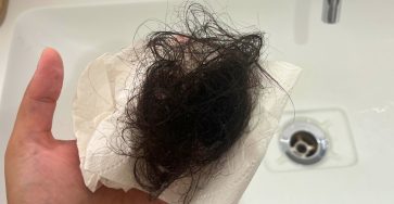 612252837 1300373258793537 4484819765888554757 n