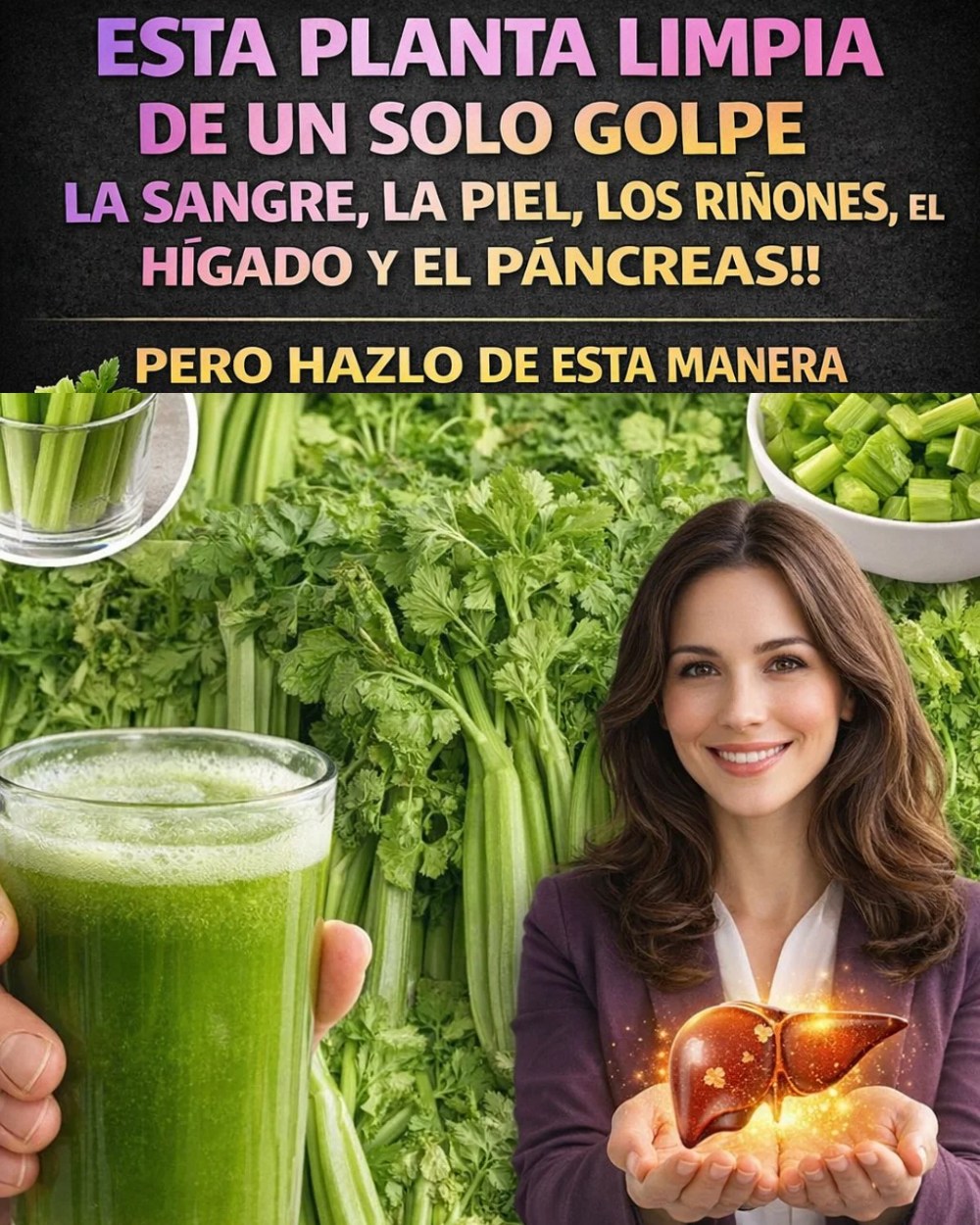 615578474 1513090623679551 1578131495094911274 n