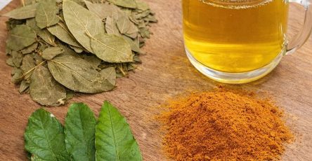 616825616 1515979806723966 6629180205879539321 n