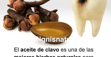 616826397 1471482047875790 3746449462286005460 n