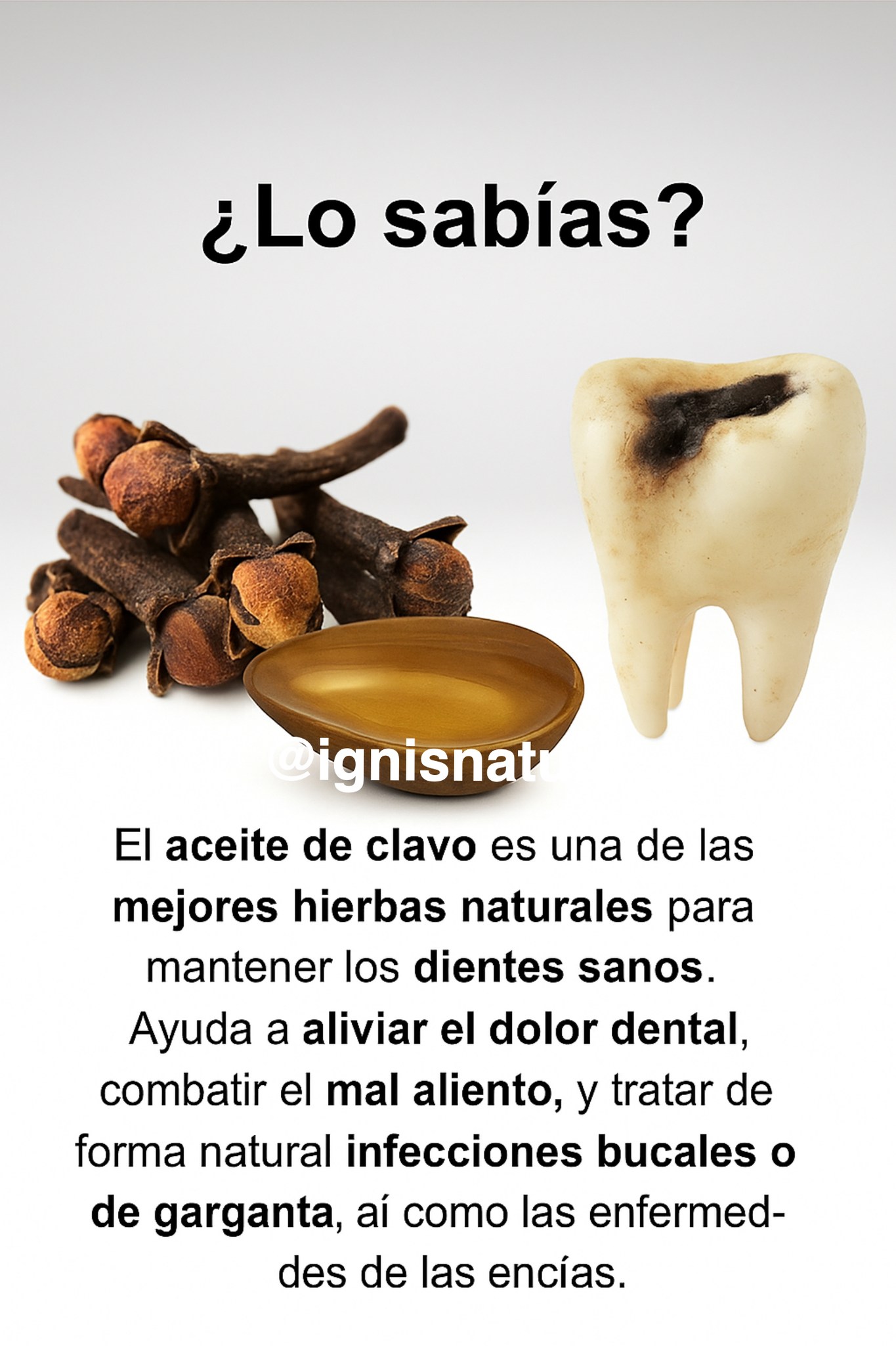 616826397 1471482047875790 3746449462286005460 n