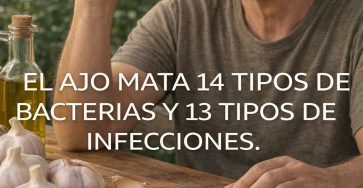 617612891 1518464276475519 7634920027145141759 n