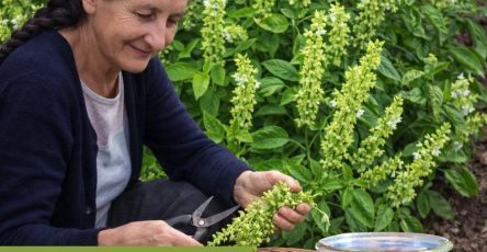 620154738 1519710039684276 5817178360260474237 n