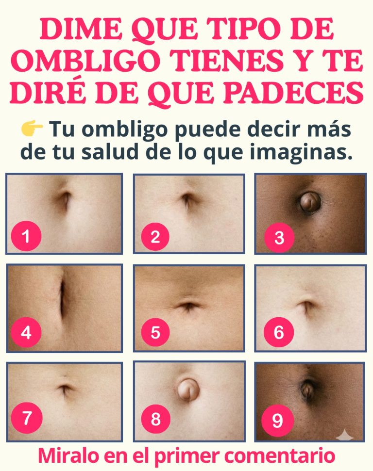 621697928 1450890499939821 6505098068508195014 n 768x971