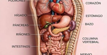 622801971 122177380274424691 2638367533582399698 n