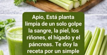 624580393 1519037689158533 8882428093180798571 n