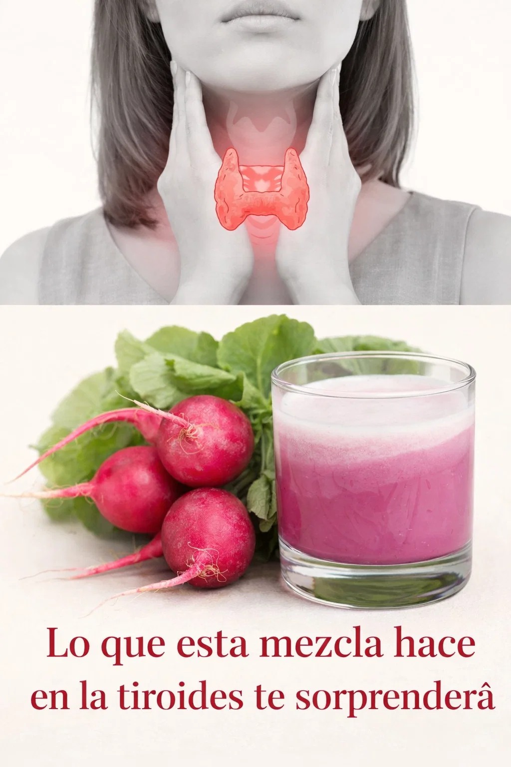 625672993 1529016145420332 7624021443240605234 n