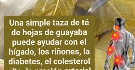 628050373 1660548861981022 3714108125634563278 n