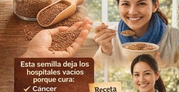 629250991 1532647215057225 8613104745822867640 n