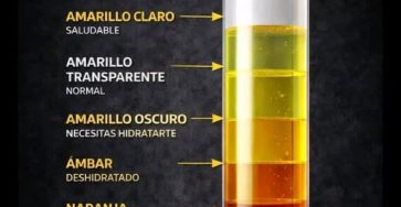 629302326 1184147453882317 3064399346113220641 n