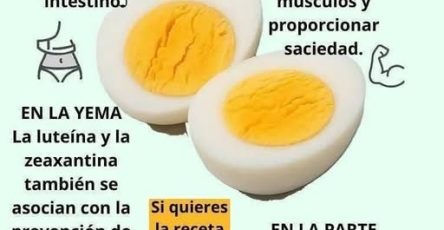 631716789 122247430196082282 6008331645386122979 n