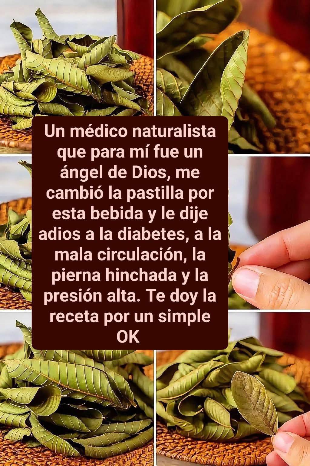 631740507 1459462549083479 5550167673383342499 n