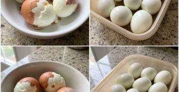 633729947 122208324416567604 230322929869442462 n