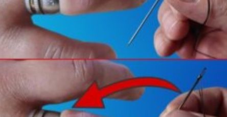 633992824 122208526190567604 7297836825143661719 n