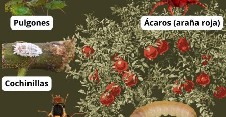 634661999 122279402156068844 7818827293697325405 n