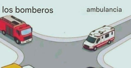 636738621 4386911511520646 4438920118209105165 n