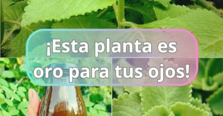 637173310 1547210246934255 6277819763247166922 n