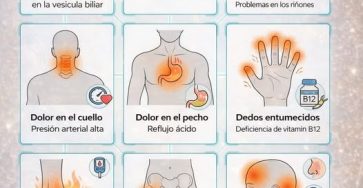 637321610 122296010276225130 4137446505962806337 n