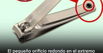 637450946 956952017021816 4886887225395899636 n (1)