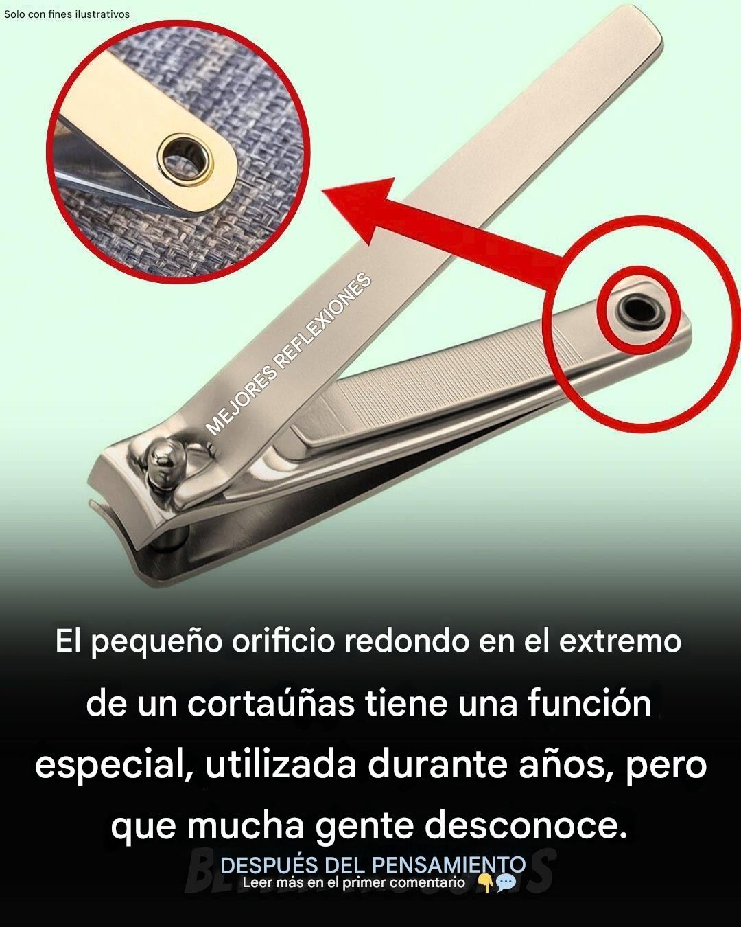 637450946 956952017021816 4886887225395899636 n (1)