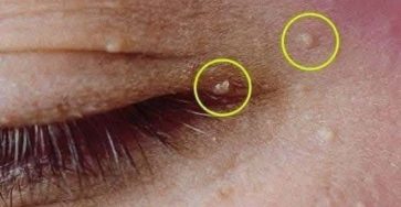 637469060 1611548350187064 5576341040298827761 n