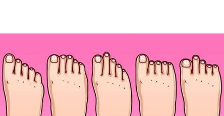 637678253 122205168170531844 415142280156338837 n