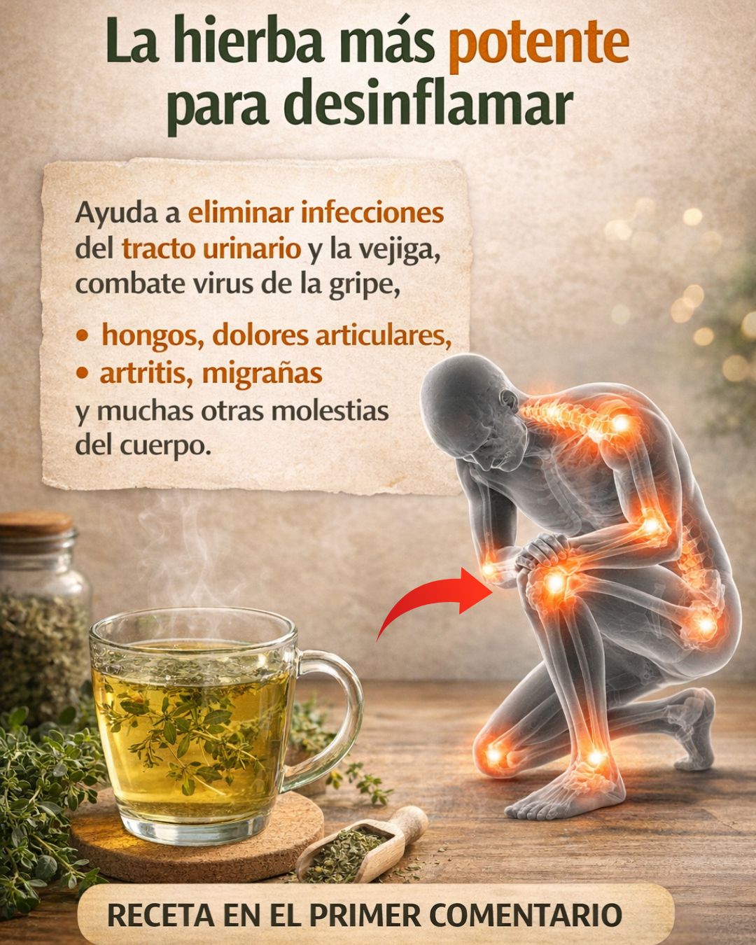 637701565 122155220780943773 1240188713178508218 n