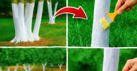 638408569 1287429626774834 5611586003836186680 n