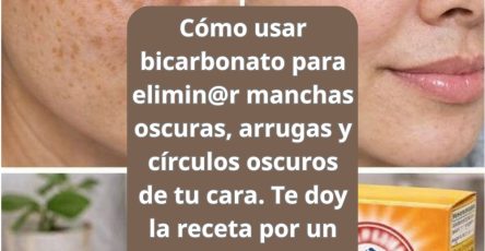 638851156 1547335153588431 3311880143286797871 n