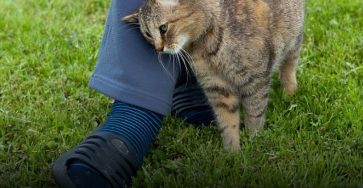 639892443 122249513558150716 4711008005661486518 n