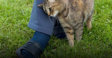 639892443 122249513558150716 4711008005661486518 n