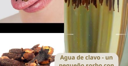 641353868 1553157756339504 513021151869869215 n