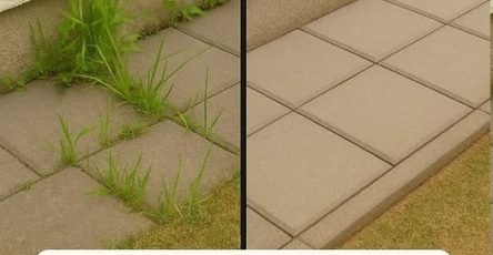 641386024 1455290612775313 8408790236851414840 n